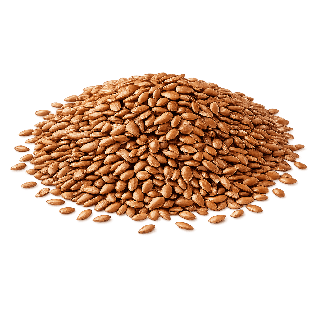 Semillas de lino clasificado - bolsa 1 kg